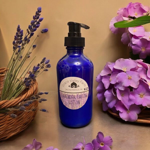 Lavender Tallow Lotion