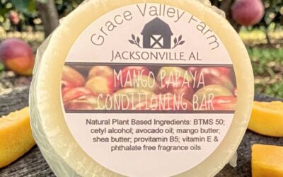 Hair Conditioning Bar: Mango Papaya