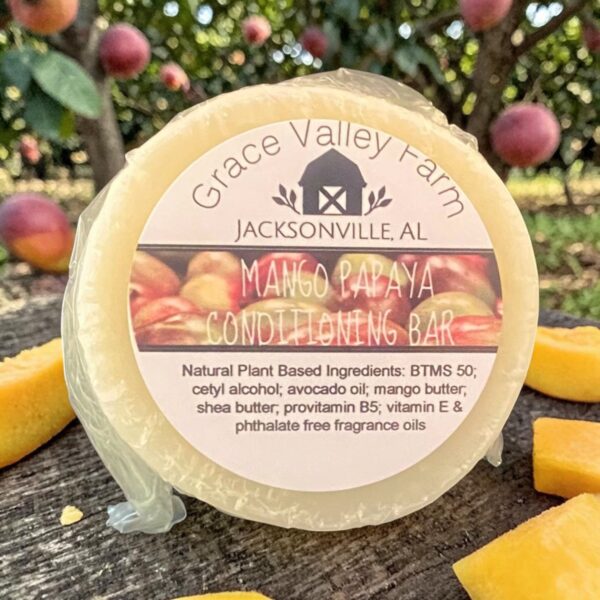 Hair Conditioning Bar: Mango Papaya