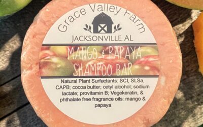 Shampoo Bar: Mango Papaya