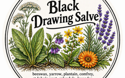 Black Drawing Salve