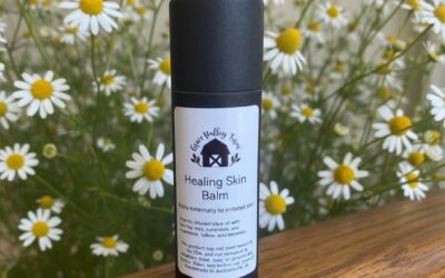 Self Healing Balm Stick